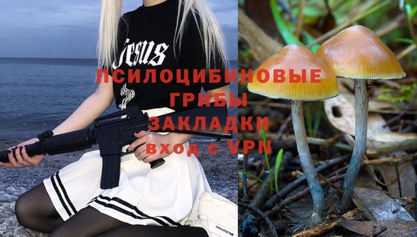 индика Алексин