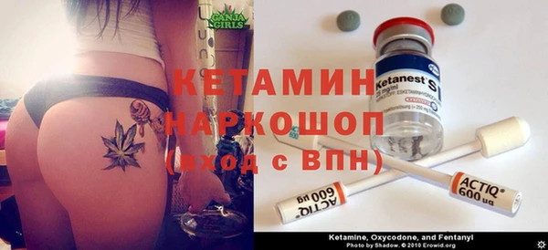 индика Алексин