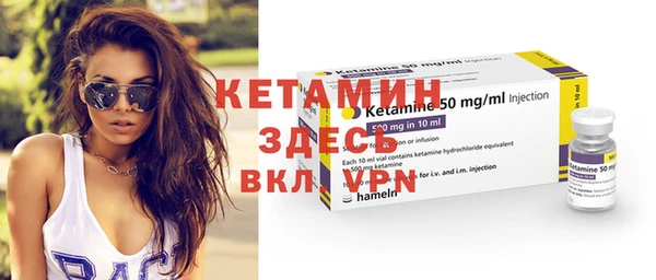 индика Алексин