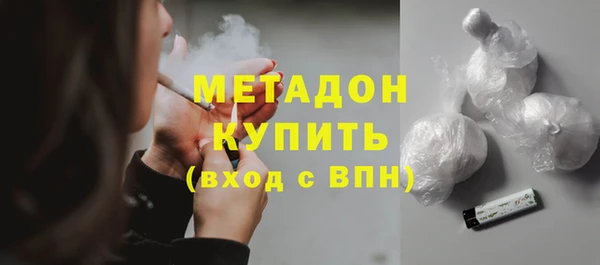 индика Алексин