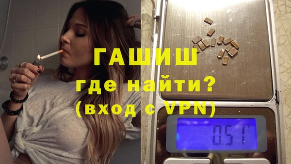 индика Алексин