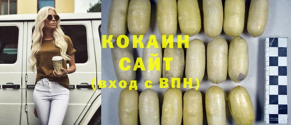 индика Алексин
