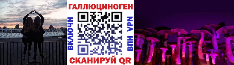купить  сайты  Игра  Галлюциногенные грибы ЛСД 